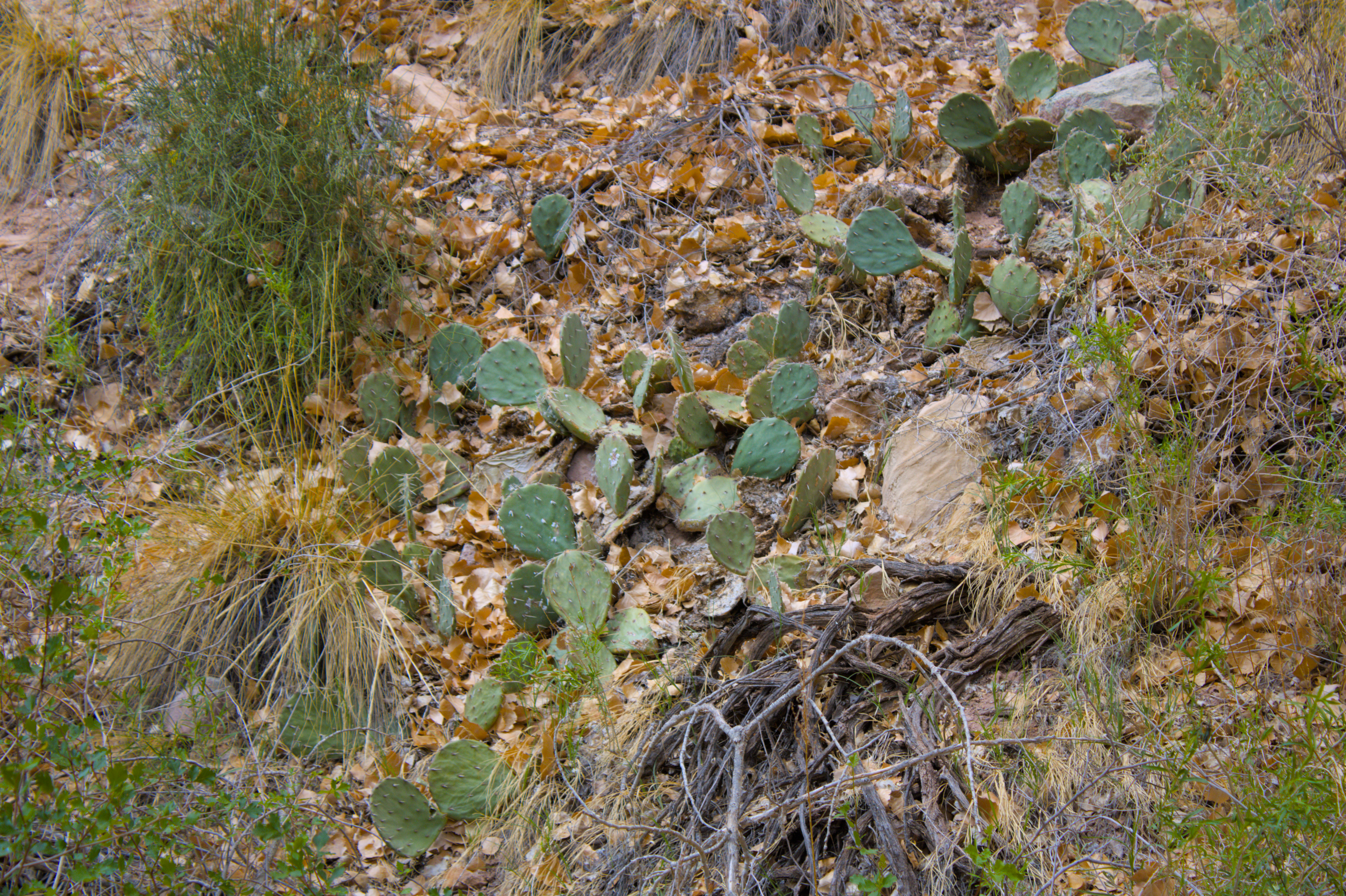 Photo 47